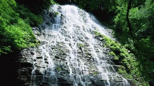 高质量高标准